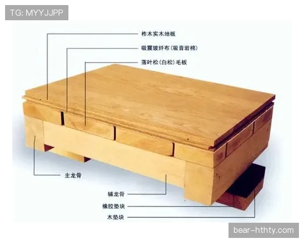 篮球着地空间规则的原理构成及执行界限